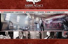 sabır agacı